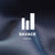 SavDigital